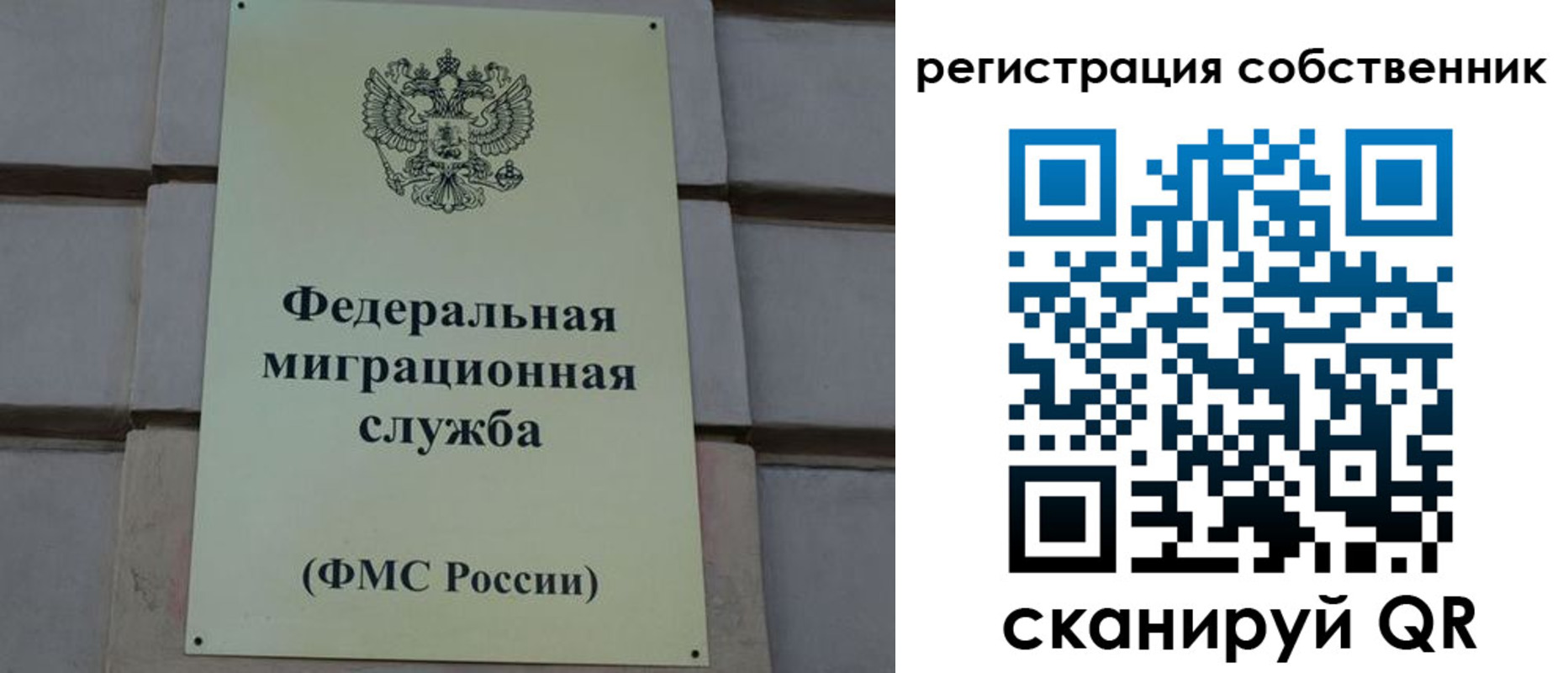 прописка гарантия в Сасово